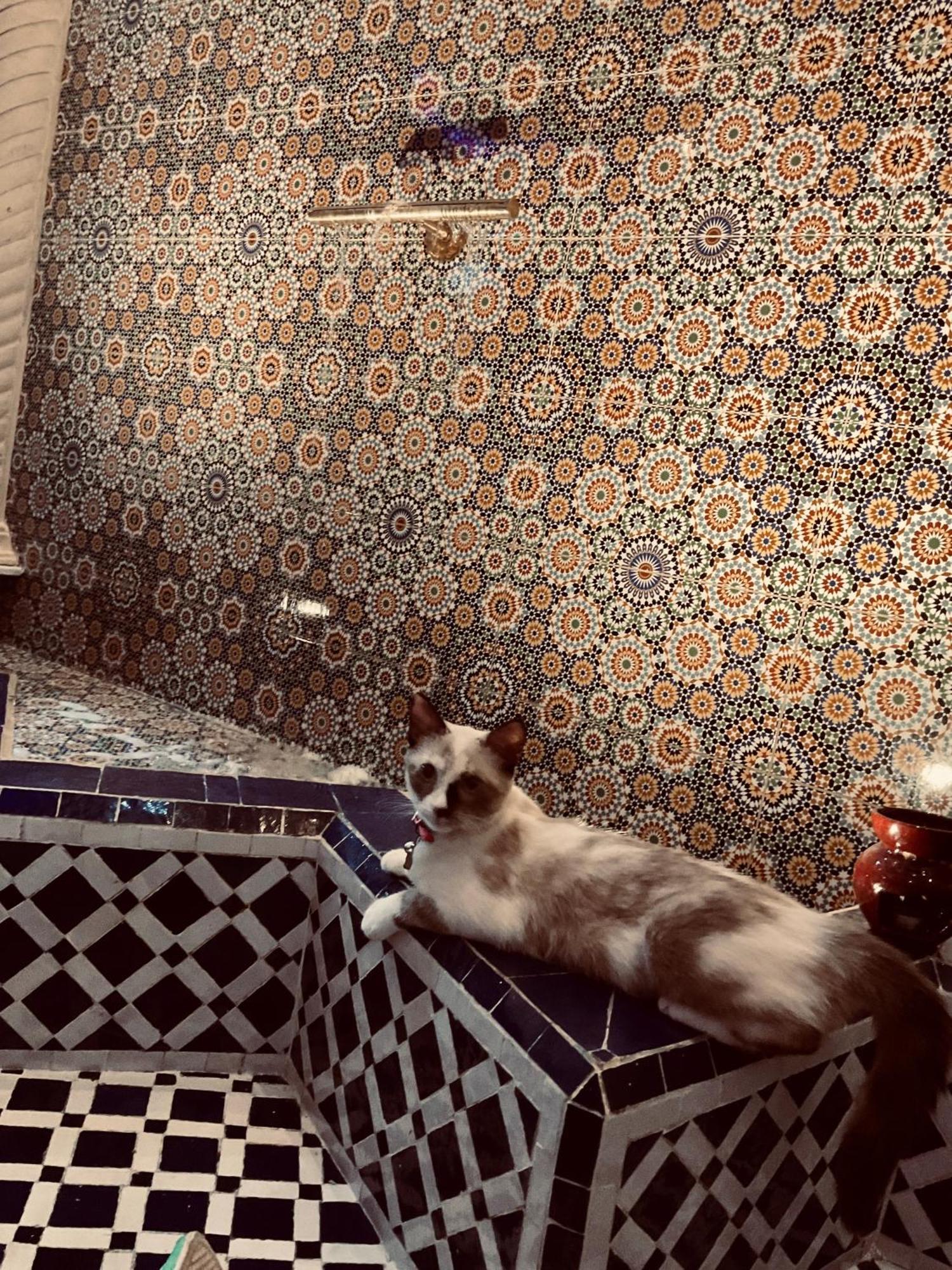 Riad Lalla Merieme Marrákes Kültér fotó